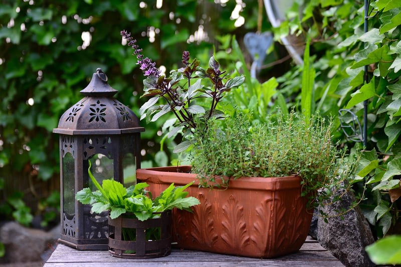 Balcony herb garden