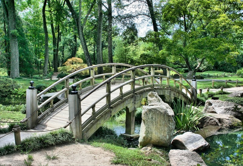 Garden forum discussion