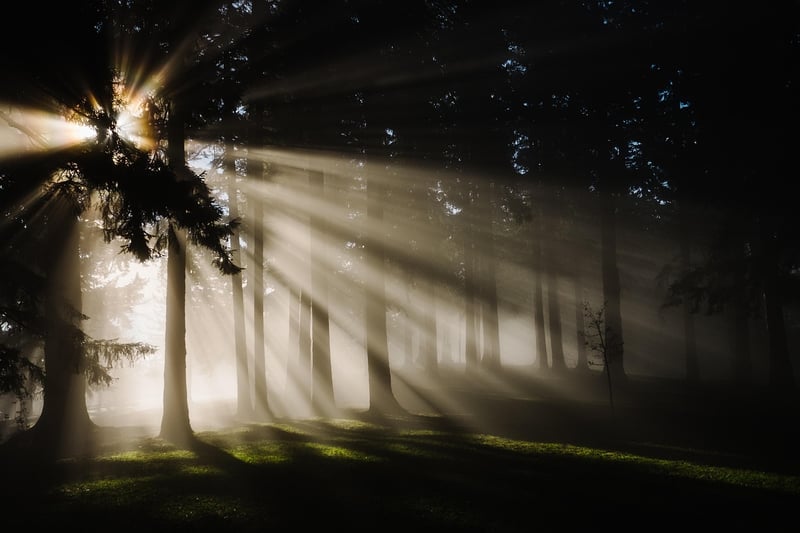 Sunlight